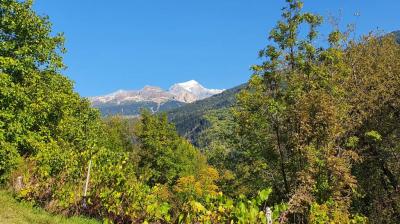Visite des vignes de Tarentaise_La Plagne Tarentaise