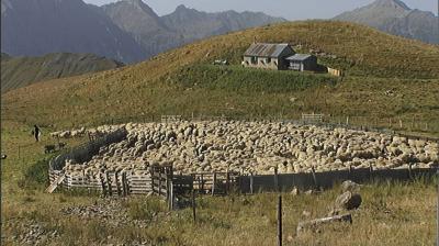 Cinéma | "Les Dernières grandes Transhumances"_Champagny-en-Vanoise