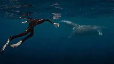 Cinéma | "La Baleine et le musicien"_Champagny-en-Vanoise