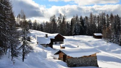 Plateau de Plan Bois