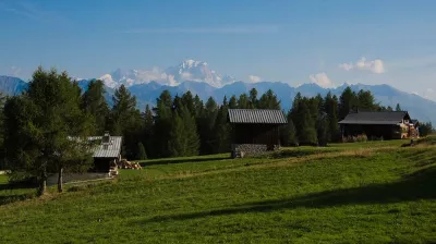 Nature et découverte I L'utilisation des plantes de montagne_Montchavin-les-Coches
