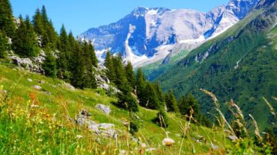Itinéraire pédestre : L'Alpage de Froide Fontaine