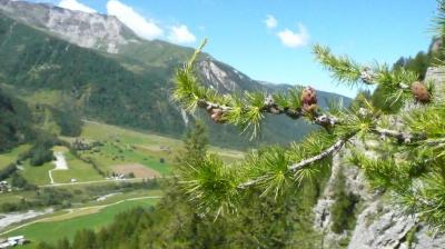 Montée à Peisey - Rosuel