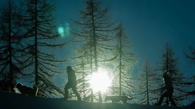 La soirée du musher !_Montchavin-les-Coches