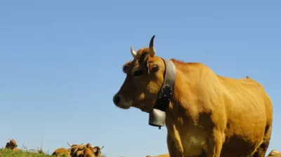 Films d'en Haut - Terres du ciel, Cueilleurs d'alpages et Raclette kirghize_Champagny-en-Vanoise