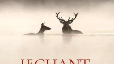 Cinéma | Le chant des forêts_La Plagne