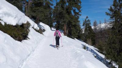 Plagne Bellecôte - Forcle