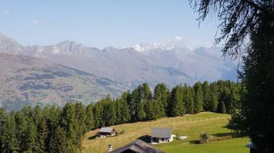 Plagne-Tarentaise (Montchavin-Les Coches )