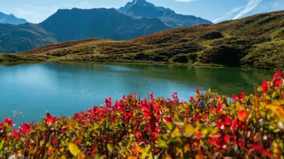 Nature et découverte I