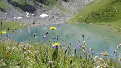 Nature et découverte I Le Lac d'amour