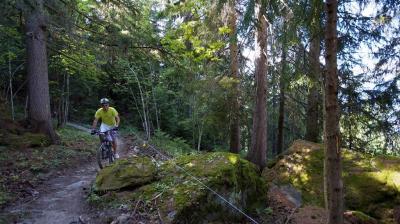 Passage en forêt Itinéraire VTT Les Adrets