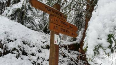 Itinéraire raquette "Montchavin-Les Coches par Praz Salvard"