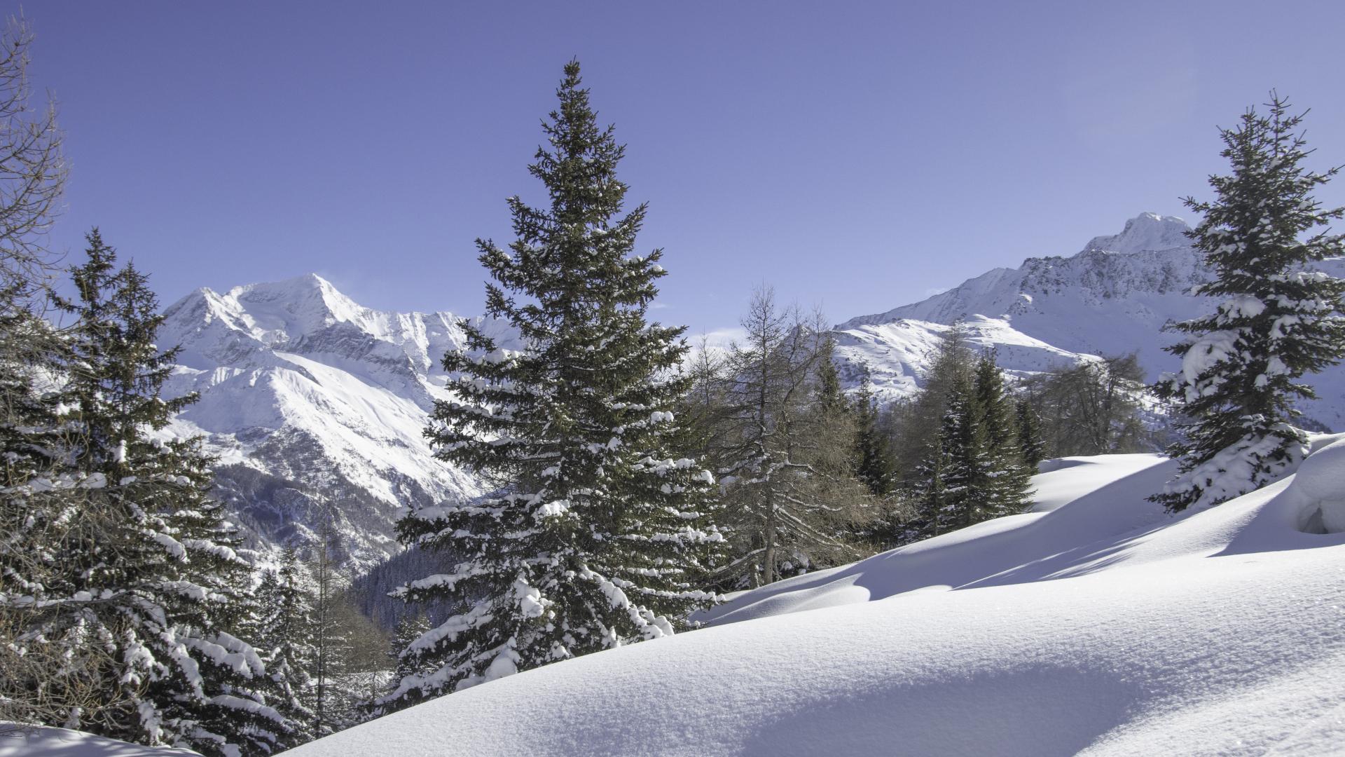 La nature est apaisante ! 