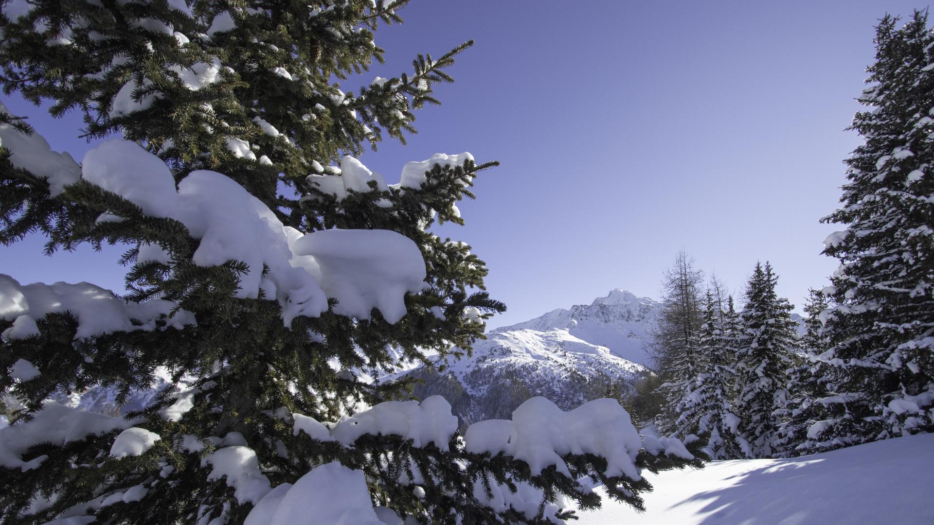 Neige et soleil !