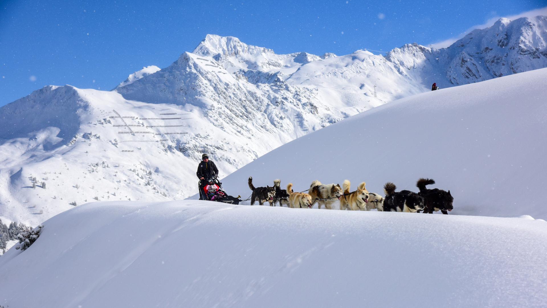 Balade en chiens de traineaux à La Plagne