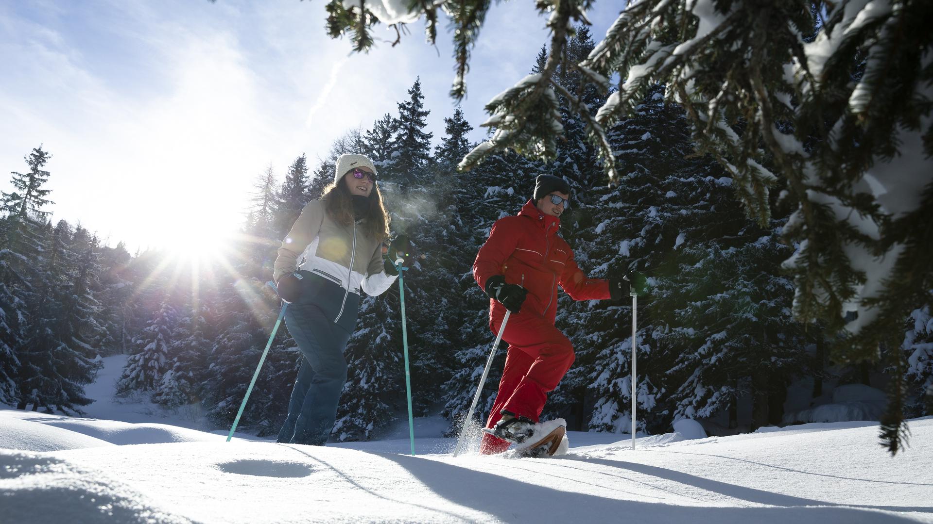 Randonnée raquettes dans les sapins de La Plagne