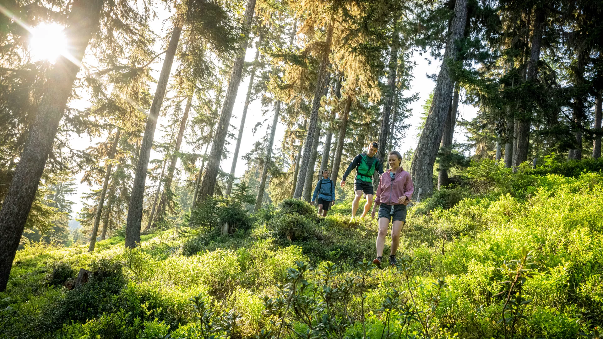 Jeunes gens en balade en forêt