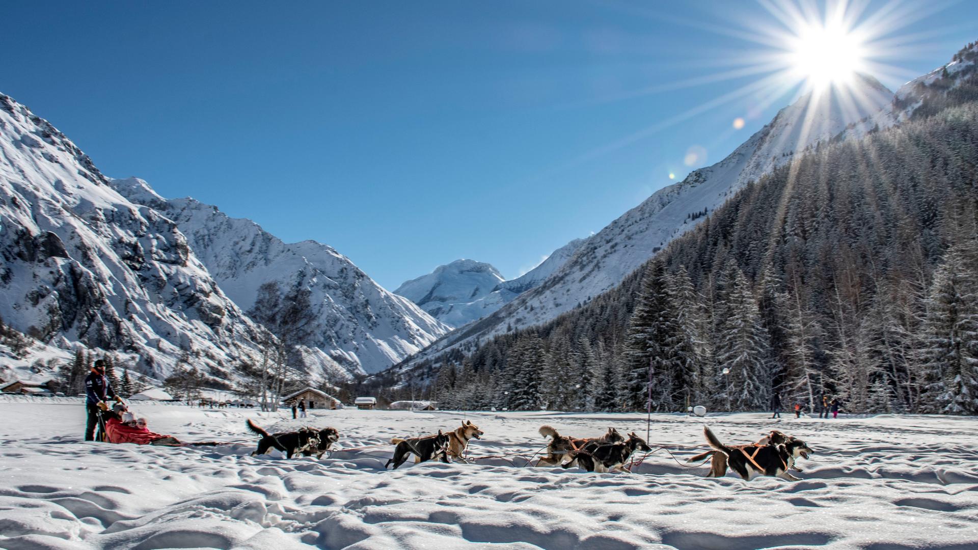 Champagny chiens de traineaux 