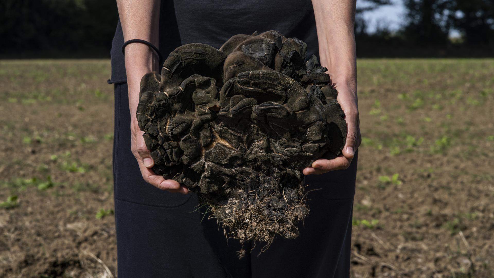 Campagne_Premiere_Manuela_Marques_Porteuse _2022_impression_pigmentaire _sur papier_baryté-Courtesy_Galerie_Anne_Barrault