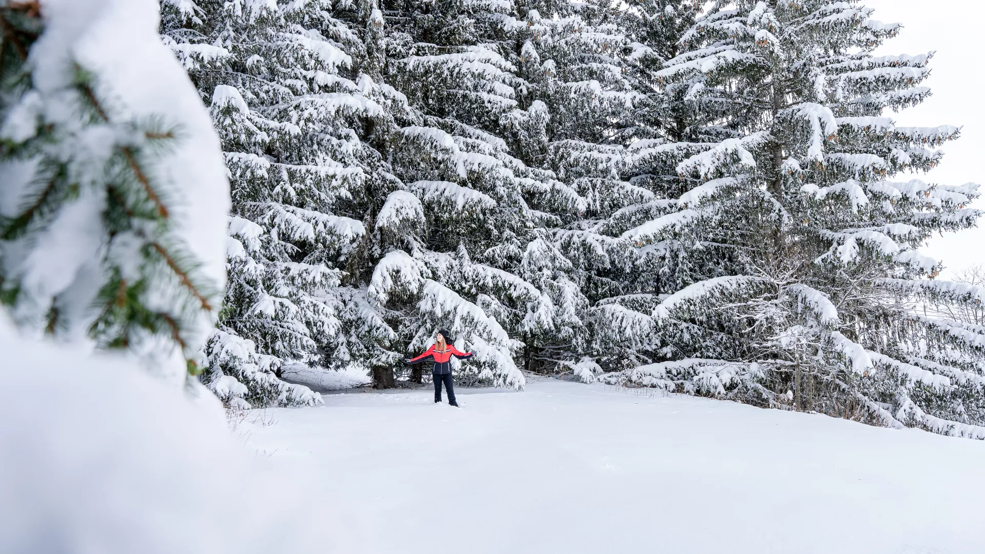 La nature est apaisante ! 