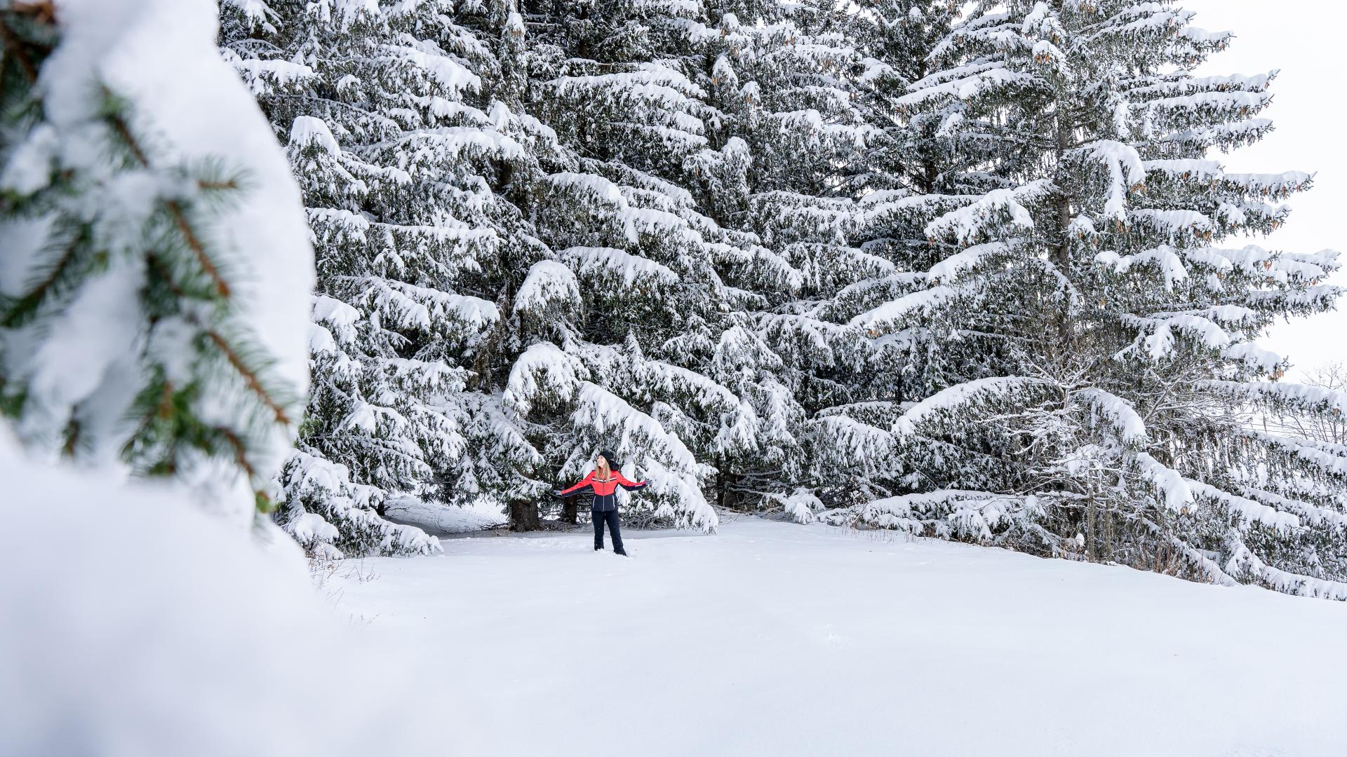La nature est apaisante ! 
