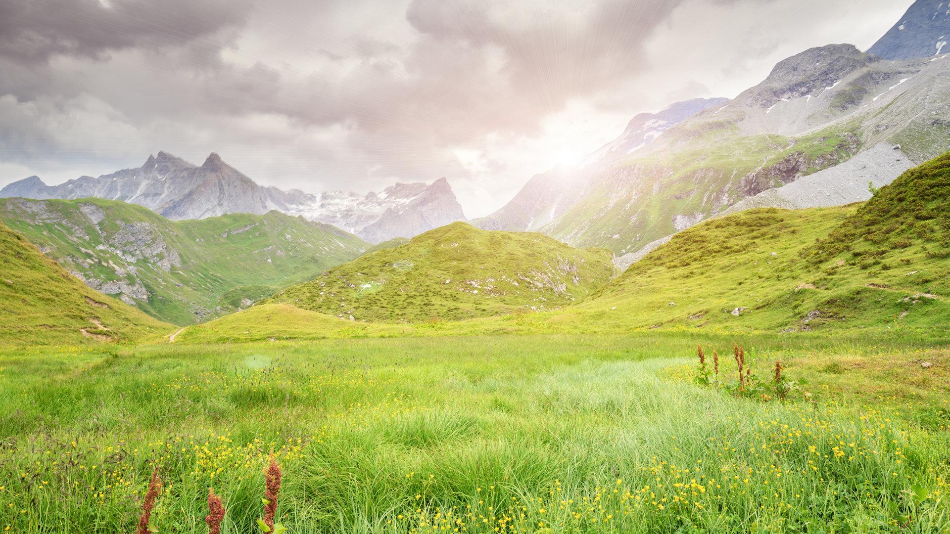 Parc de la Vanoise à Champagny