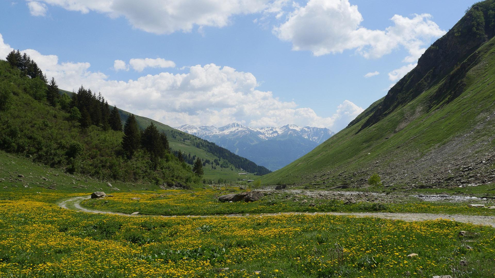 La Plagne, Foran