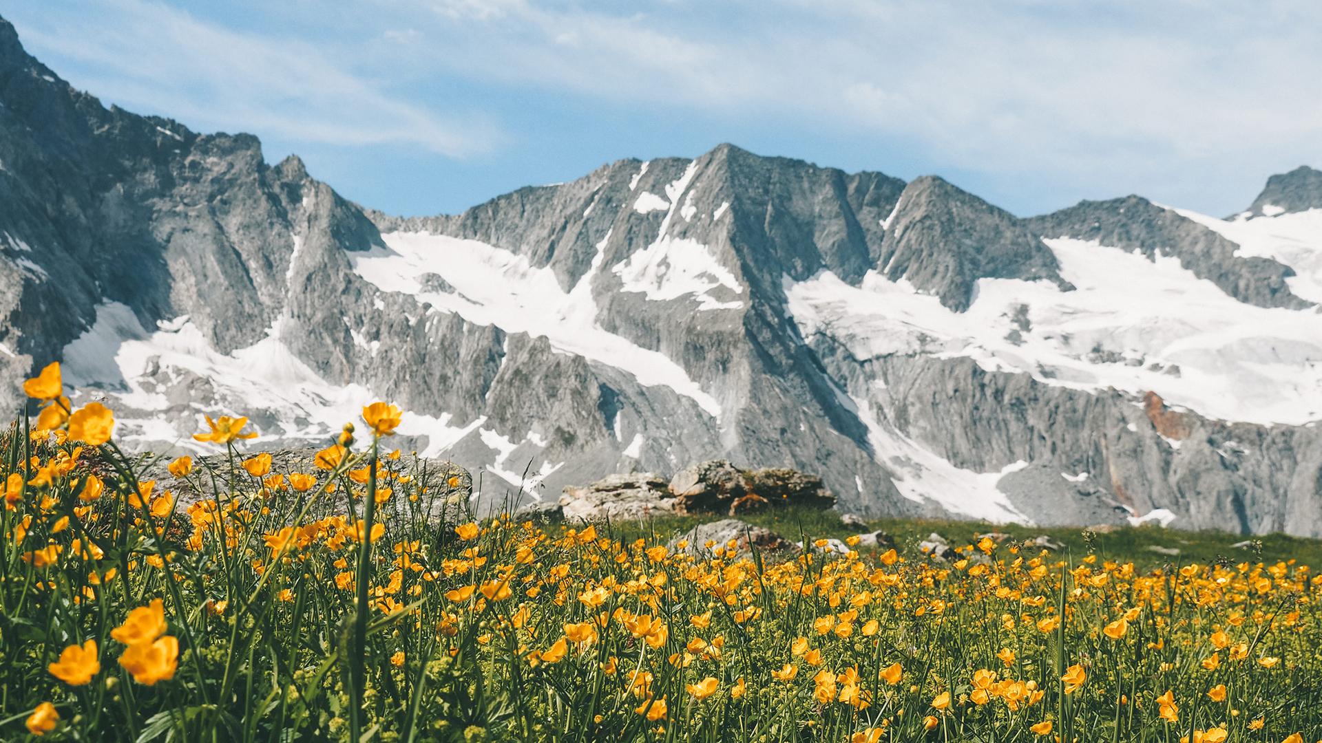 Paysage de La Plagne