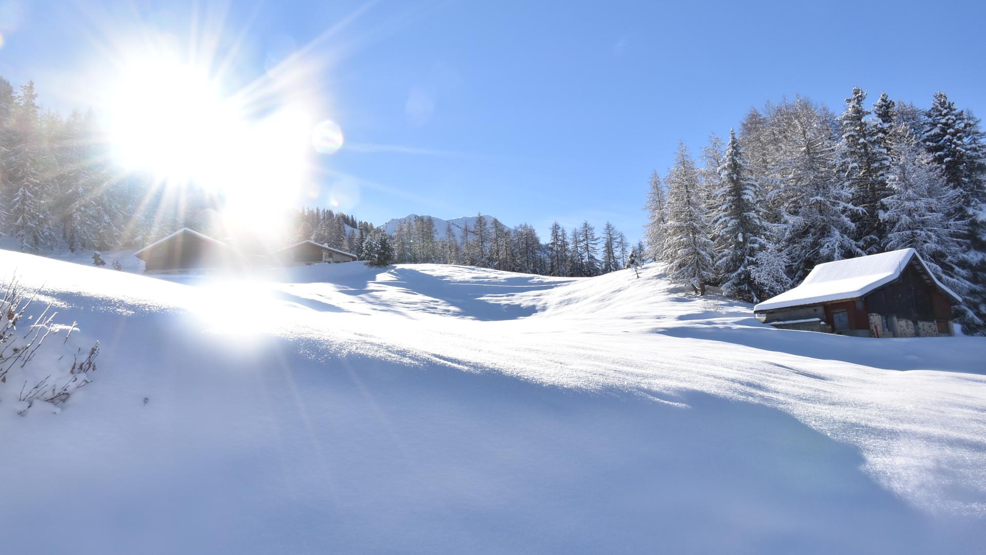 Les chalets de Plan Bois
