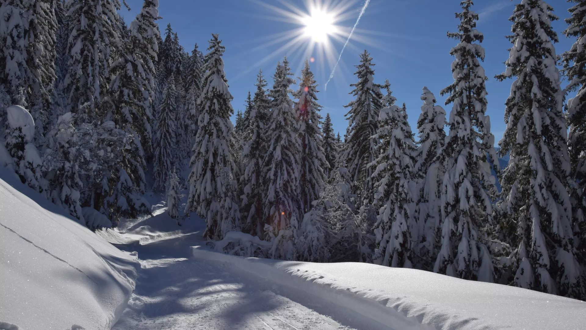 Espace hivernal La Côte d'Aime Valezan