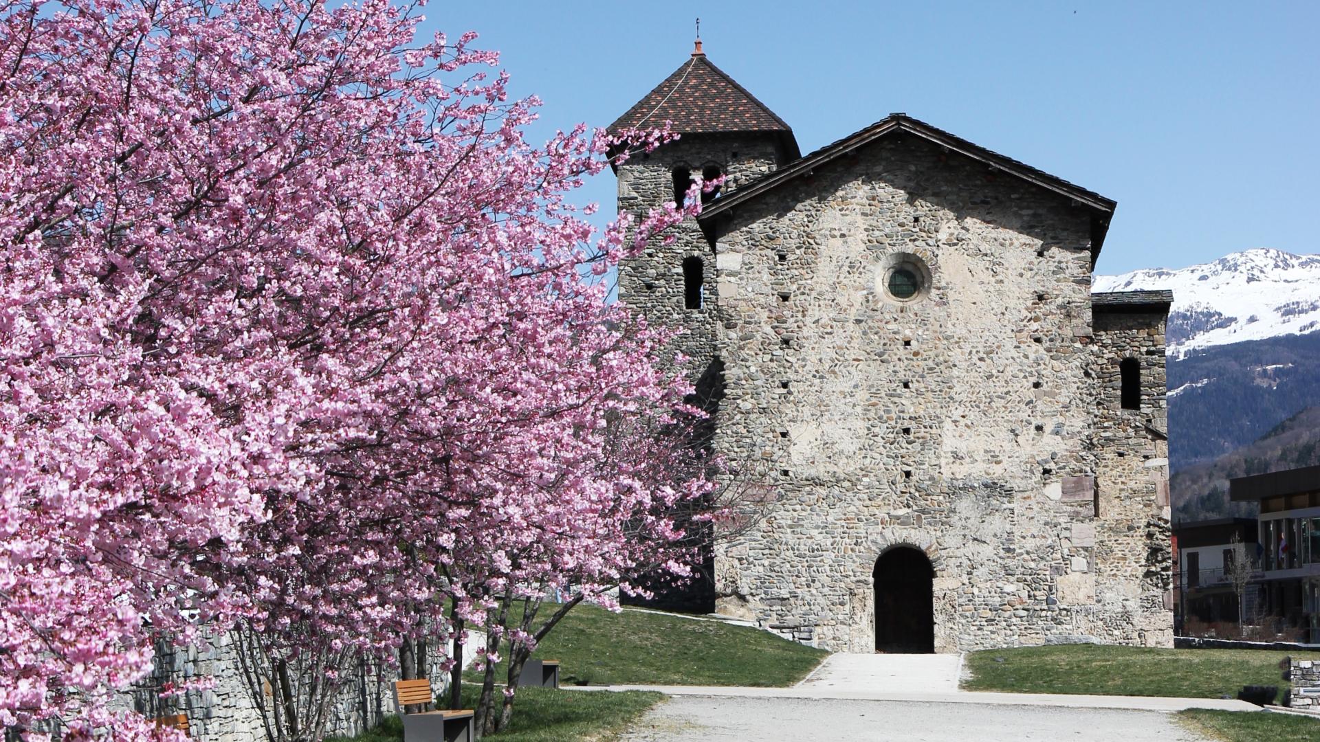 Basilique Saint Martin