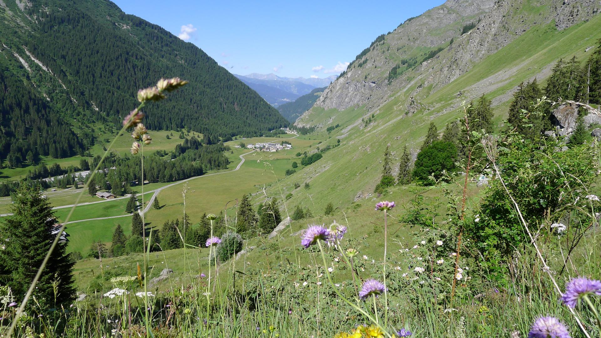 Champagny le Haut été 2017