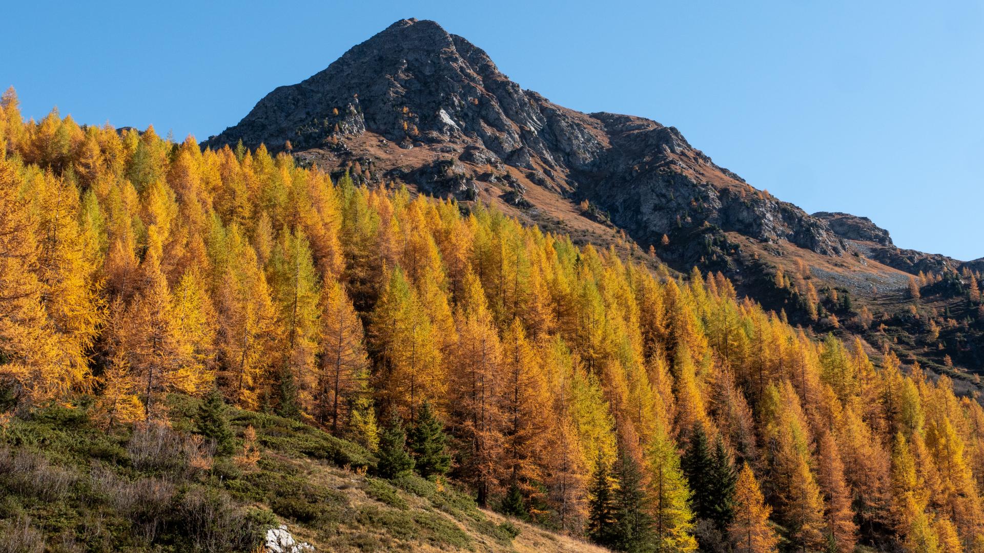 L'automne dans la Vallée des Bauches