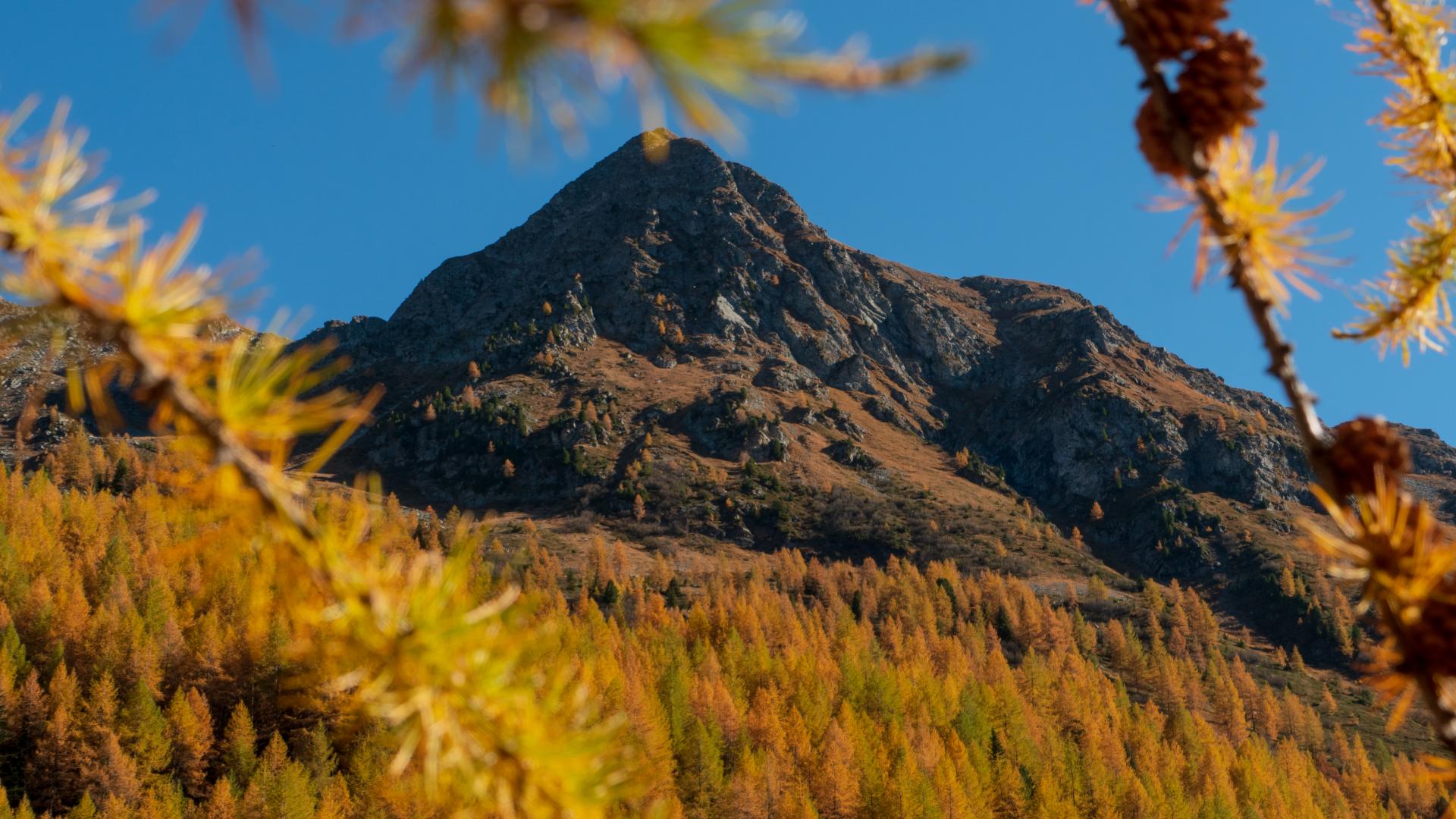 Montachavin - Les Coches Automne