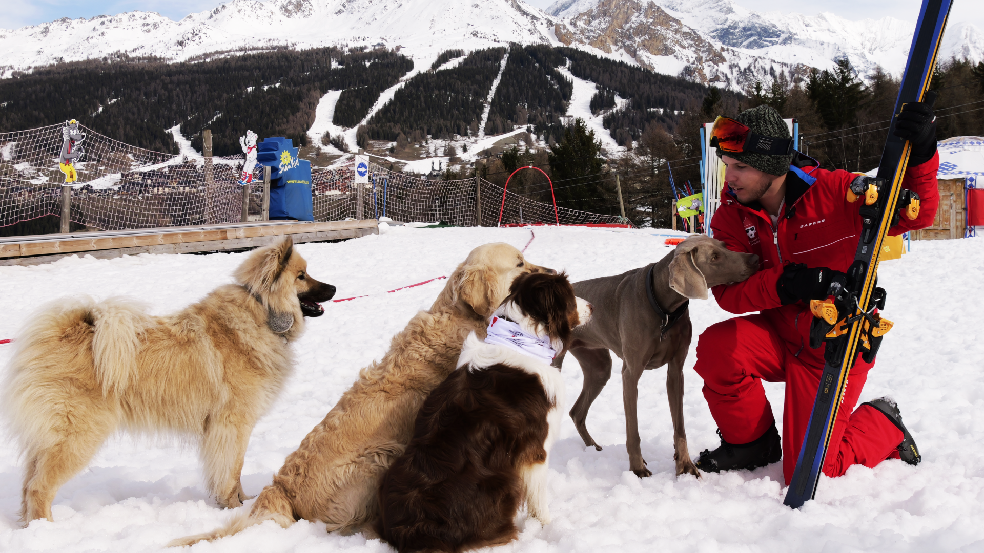 Ecole de ski canine La Plagne
