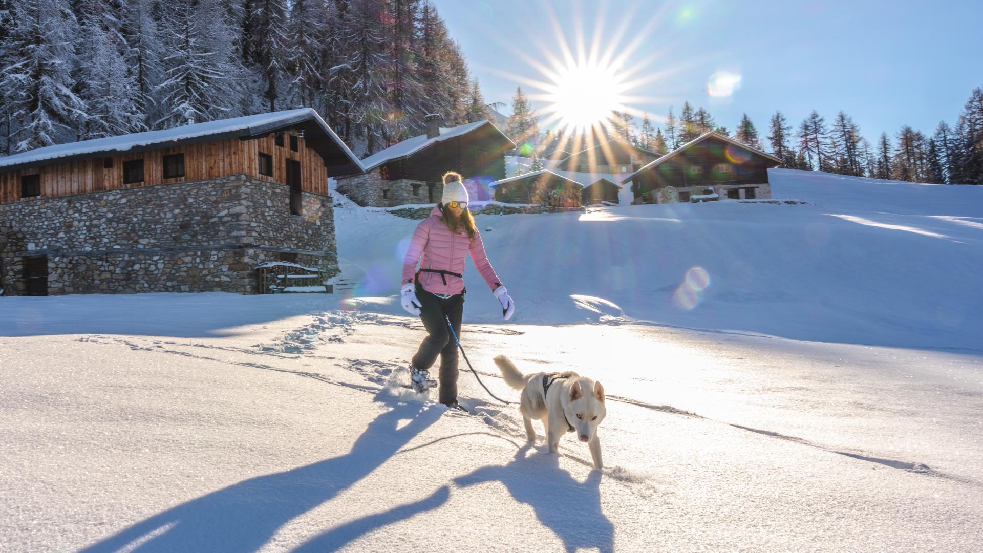 cani raquette la plagne