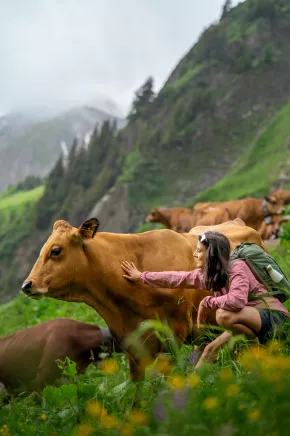 Randonnee_Mont_Jovet-JNJ_Photo-34225