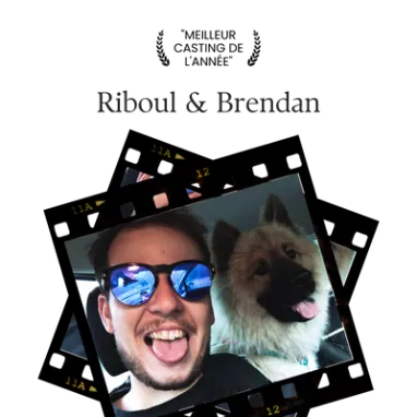 Ecole de ski canine La Plagne Ecole de ski canine La Plagne