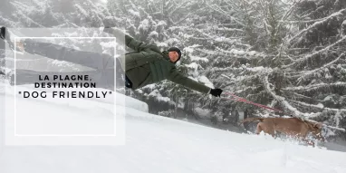 Balades avec son chien à La Plagne Balades avec son chien à La Plagne