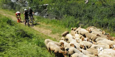 MAG-©pastokezako-vtt. MAG-©pastokezako-vtt.