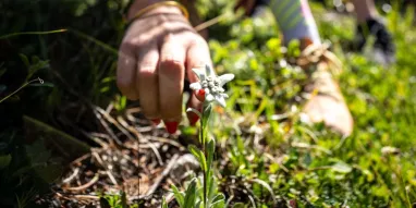 MAG-Balade_entre_amis-JNJ_Photo-1