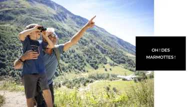 Marmottes Marmottes