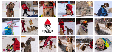 Ecole de ski canine La Plagne