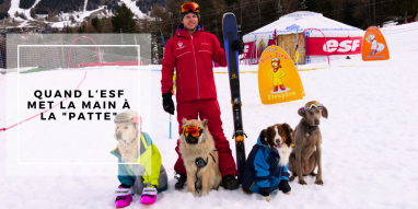 Ecole de ski canine La Plagne