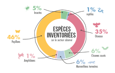 Espèces inventoriées La Plagne