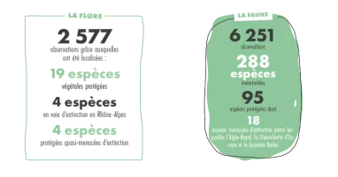 Faune et flore étudiées La Plagne