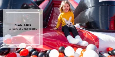 mag-sublicimes-plan-bois mag-sublicimes-plan-bois